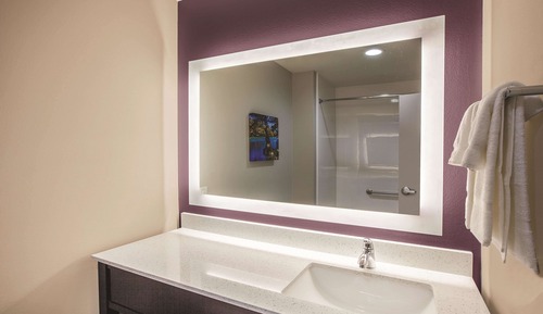 Room, 1 King Bed, Accessible, Non Smoking (Mobility/Hearing,roll-in shwr)