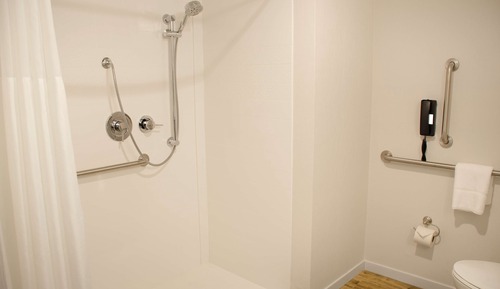Room, 2 Queen Beds, Accessible (Roll-In Shower, Mobility & Hearing)