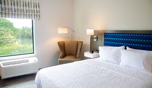 Room, 1 King Bed, Accessible (Roll-In Shower, Mobility & Hearing)