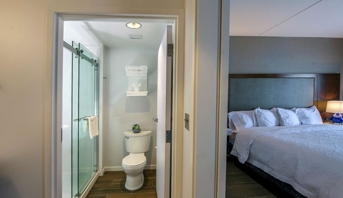 Room, 1 King Bed with Sofa bed (Shower)