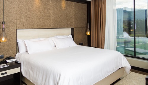 Business Suite, 1 King Bed