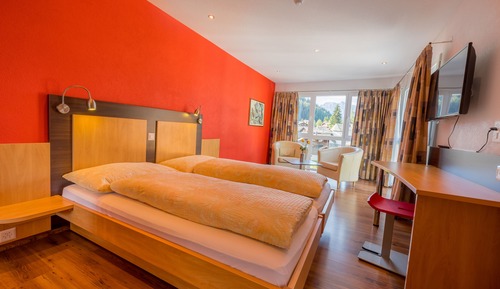 Superior Double or Twin Room