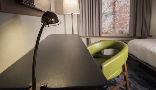 Suite, 1 King Bed with Sofa bed (Mobility/Hearing Accessible, Tub)