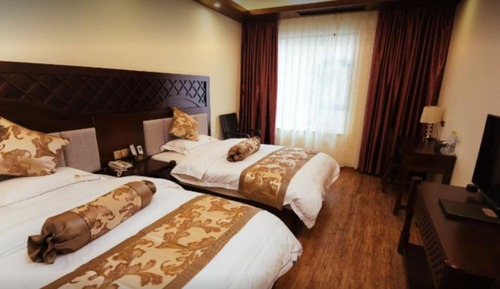 Elegant Twin Room