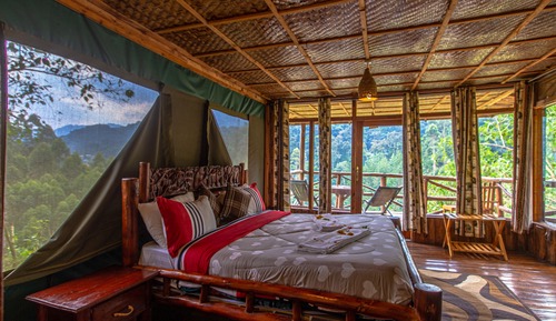 Luxury Room