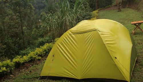 Basic Tent