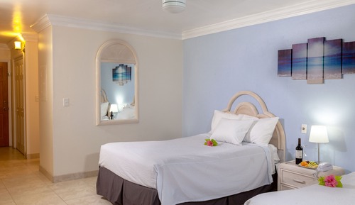 Junior Studio Suite