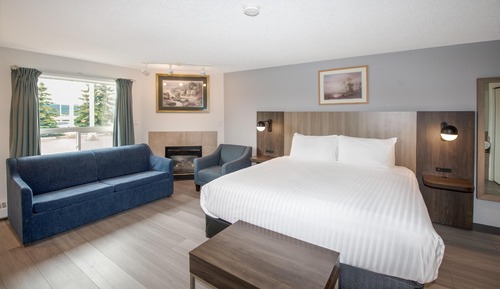 Premium Double Room, 1 King Bed (Pet Friendly)