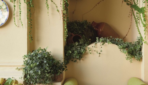 Suite, Sea View (Garden)