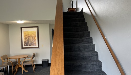 Studio Suite, Multiple Beds, Non Smoking