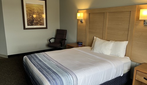 Room, 1 Queen Bed, Non Smoking