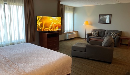 Studio Suite, 1 King Bed with Sofa bed, Non Smoking, Lake View