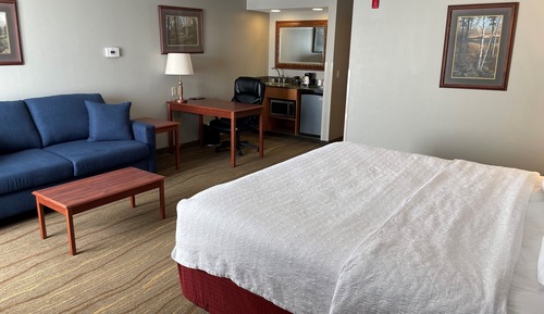 Studio Suite, 1 King Bed with Sofa bed, Non Smoking