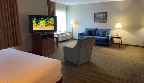 Studio, 1 King Bed, Hearing Accessible, Lake View (Mobility,Roll-In Shower)