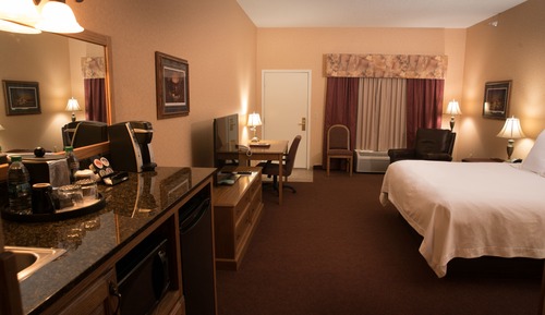 Room, 1 King Bed, Non Smoking