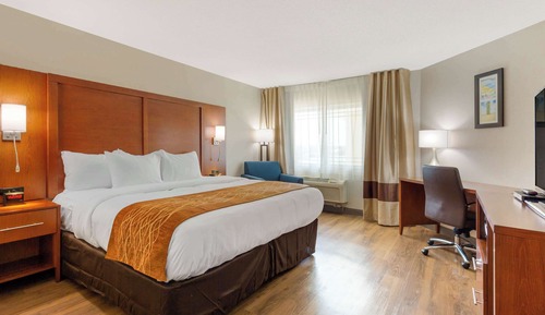Standard Room, 1 King Bed, Non Smoking