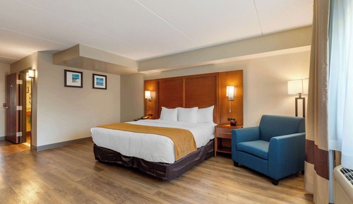 Room, 1 King Bed, Accessible, Non Smoking
