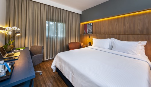 Room, 1 Queen Bed, Refrigerator
