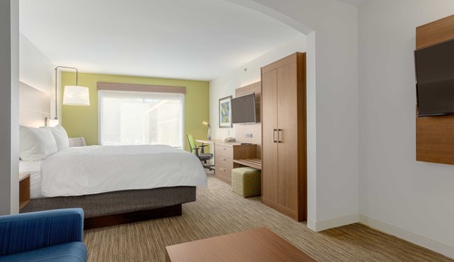 Suite, 1 King Bed with Sofa bed