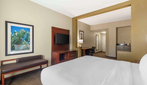 Suite, 1 King Bed with Sofa bed, Accessible, Non Smoking