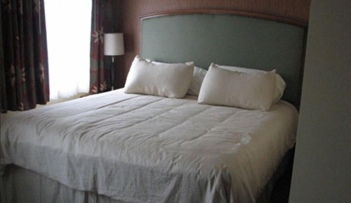 Standard Room, 1 King Bed, Refrigerator & Microwave