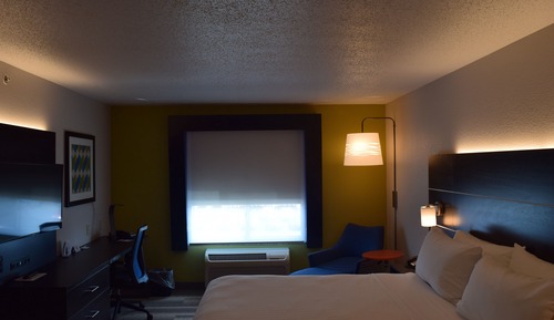 Suite, 1 King Bed with Sofa bed
