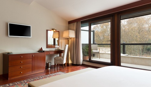 Deluxe Room, Park View