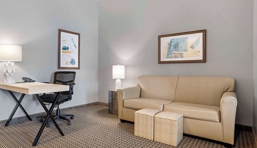 Suite, 1 King Bed, Non Smoking, Kitchenette (with Sofabed)
