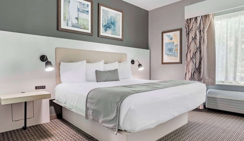 Standard Room, 1 King Bed, Accessible, Kitchenette
