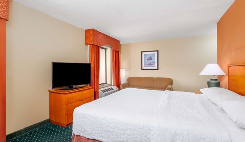 Studio, 1 King Bed, Accessible (Roll-In Shower)