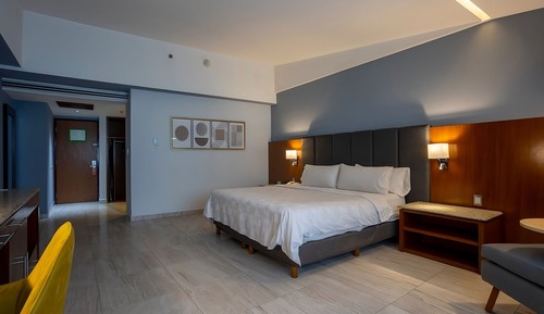 Standard Room, 1 King Bed, Mountain View