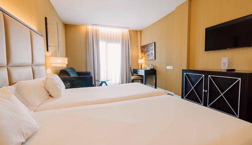 Standard Twin Room