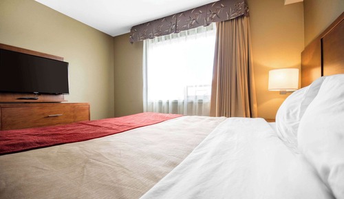 Suite, 1 King Bed with Sofa bed, Non Smoking