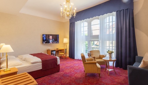 Junior Suite, 1 Queen Bed