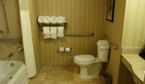 Room, 1 King Bed, Accessible, Non Smoking