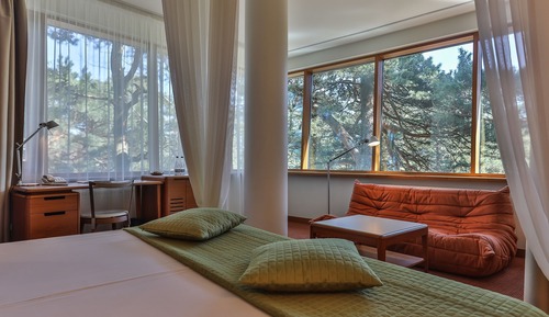 Deluxe Double Room (Luxury Building)
