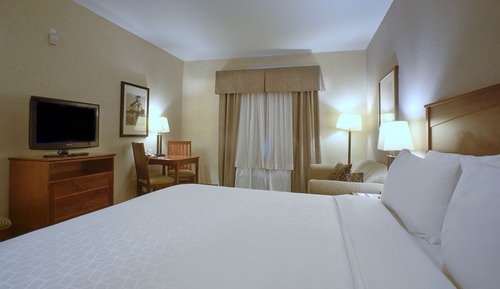 Standard Room, 1 King Bed with Sofa bed