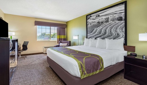 Standard Room, 1 King Bed, Non Smoking