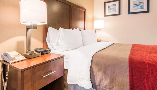 Standard Room, 1 Queen Bed, Non Smoking