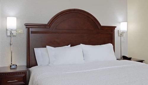 Room, 1 King Bed