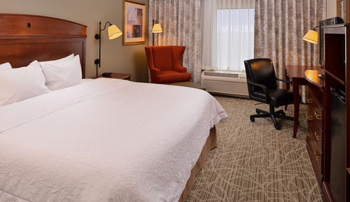Room, 1 King Bed, Accessible