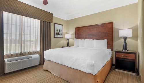 Suite, 1 King Bed with Sofa bed, Non Smoking, Kitchenette (with Sofabed)