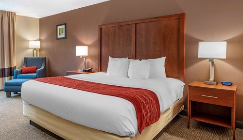 Standard Room, 1 King Bed, Non Smoking
