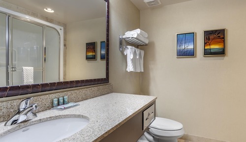 Suite, 1 King Bed, Non Smoking, Fireplace (Walk-in Shower)