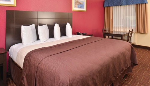 Room, 1 King Bed