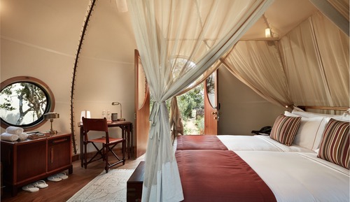 Family Cocoon Pool Suite with One Free Game Drive
