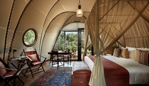 Cocoon Suite with One Free Game Drive