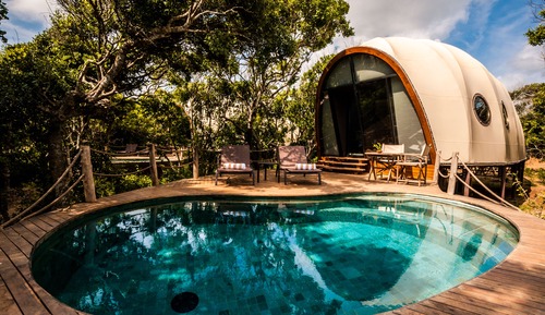 Cocoon Pool Suite with One Free Game Drive