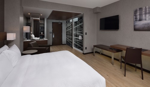 Room, 1 King Bed