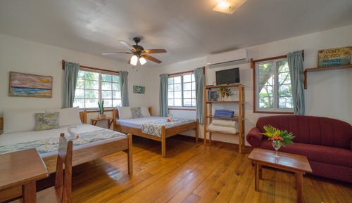 Toucan Studio Suite
